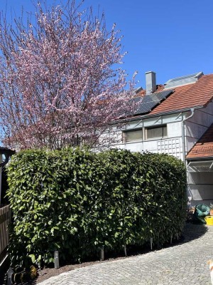Viel Platz in modernem Ambiente!