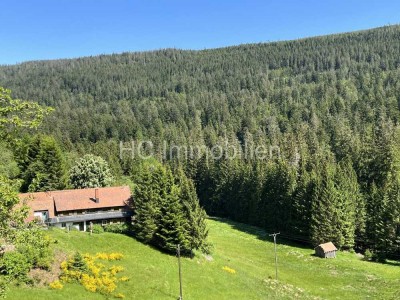 Großes* Haus*  auf 2,5 ha Grundstück in Traumlage/ Schwarzwald