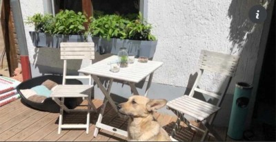 Vorderhaus einer Hofreite in Hofheim-Wallau zu vermieten