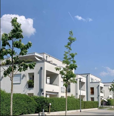 Exklusive Dachterrassenwohnung