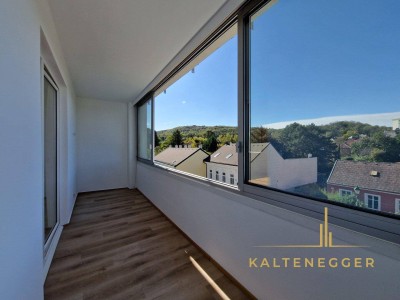 Frisch renovierte 2-Zimmer-Wohnung mit Loggia &amp; Blick auf die Burg Liechtenstein