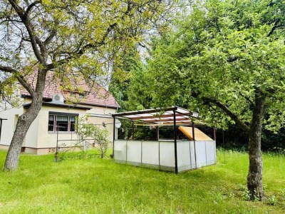 Schöneiche bei Berlin - Einfamilienhaus mit großem Grundstück - Keller, Nebengelass, Garagen, Sauna!