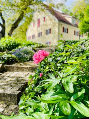 Idyllisches Wohnambiente in Alleinlage