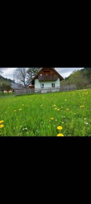 Kleines Bauernhaus mit Potential