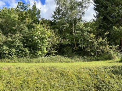 Dachgeschosswohnung mit Ausblick ins Grüne!