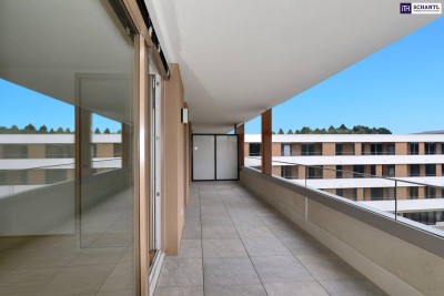 Herrliche Drei-Zimmer-Wohnung mit riesigen FREIFLÄCHEN! Schlossbergblick!