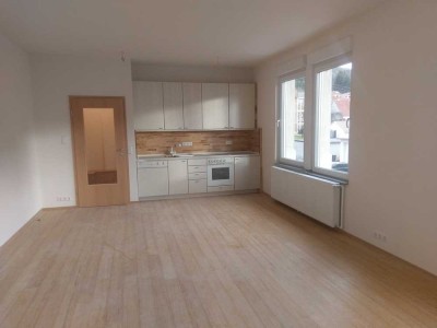 1,5-Zimmer Wohnung, baubiologisch saniert
