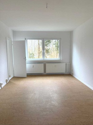Helle und gemütliche Einzimmerwohnung in Schwerin