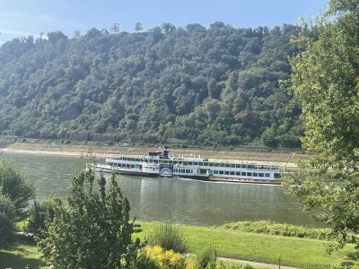 Rheinromantik inklusive! Hochwertige 2-Zi-WG mit neuw. Einbauküche, Balkon, Garten und Rheinblick!