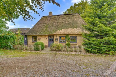 Reetgedecktes Juwel: 475m² Grdstck, 136m² Wfl., Partygarage, Kamin, ausgebautes OG & überd. Terasse!