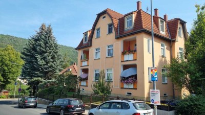 Schöne 3-Zimmer-Wohnung in Freital mit Balkon und Kamin