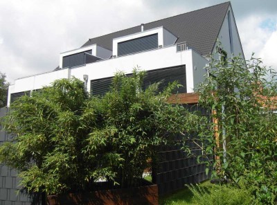 Residenz im Twellbachtal Hoberge-Uerentrup - Maisonette, Dachterrasse, Erdwärme, EBK, Kamin