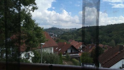 2-Zi.-DG mit Gallerie, EBK, Loggia und Balkon in Eltmann ! möbliert !!