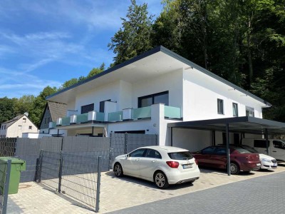 helle Wohnung mit Terrasse zu vermieten ab Januar 26