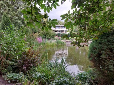 Paradies am Deich - viel Platz - einmaliger Blick in alle Richtungen (Kreuzfahrtschiffe inklusive)