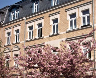 Ansprechende und sanierte 2-Zimmer-DG-Wohnung in Lutherstadt Wittenberg