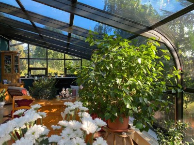 Haus mit großem Wintergarten, 3 Garagen, Platz für Kinder und Ihre Hobbys