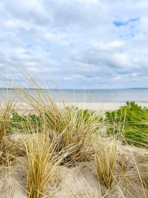 Exklusive Ferienwohnung mit Sauna und Meerblick in direkter Strandlage