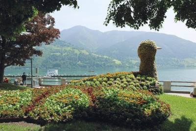 Seeblick, Balkon und Citylife vor der Tür – top sanierte 4-Zi-Wng. in Zell am See