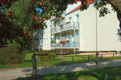 FRISCH RENOVIERTE 4 Zimmer Wohnung mit Balkon im grünen inkl. EBK