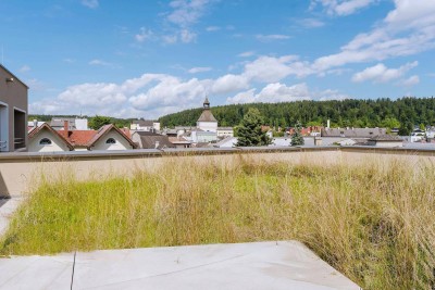 DACHGESCHOSS-Wohnung mit hofseitiger Süd-West Loggia &amp; begrüntem Dachgarten - Fernsicht