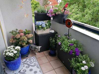 Moderne 5-Zimmer Wohnung mit Balkon und Aufzug
