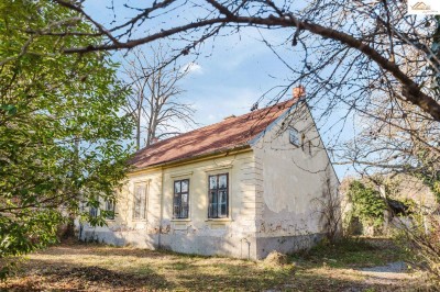 Traumhafte Liegenschaft in Pitten – Großzügiges Bauland mit charmantem Altbestand