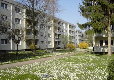 Helle 2-Zimmer-Wohnung in Mannheim-Vogelstang