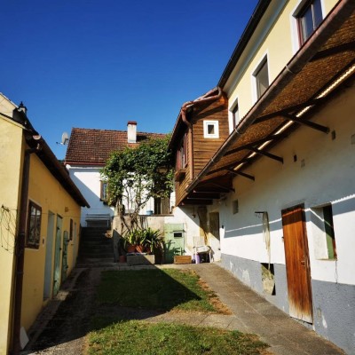 Landidylle-geräumiges Winzerhaus zu mieten in Wien Nähe