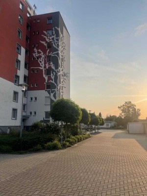 Helle 3-Zimmer-EG-Wohnung mit Balkon, Aufzug & Grünfläche – zentral in Nienburg