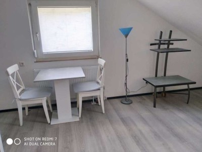 Helles 1-Zimmer Appartement 395€ zzgl Nebenkosten 140€