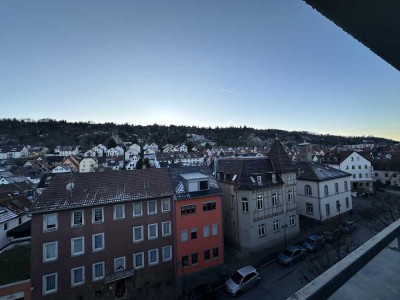 Modern sanierte 2-Zi.-Wohnung mit großer Aussichtsterrasse in Stuttgart-Wangen