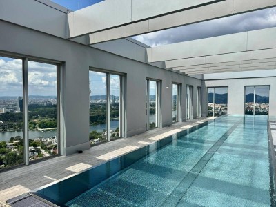 Pool, Panorama, Perfektion: Donauzentrum und U1 vor der Türe! PROVISIONSFREI - Von der Sonne geküsst
