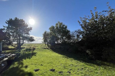 Grosszügiges Leben in der Natur unter Reet