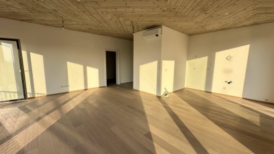 WALTENDORF, Penthouse neu errichtet mit Blick über Graz und niedrigen Betriebskosten *Videorundgang*