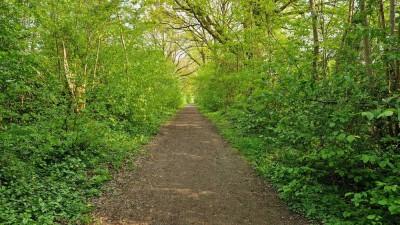 Moderne und helle Wohnung mit zwei Zimmern in Ammersbek-Lottbek.