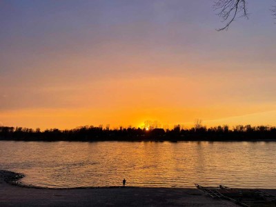Einmalig, vor Ihnen der Rhein, direkt anschließend der Schloßpark