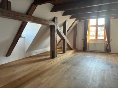 Service-Wohnen im Schloss Gerzen: 1-Zimmer Wohnung (Kurfürst Karl Theodor)