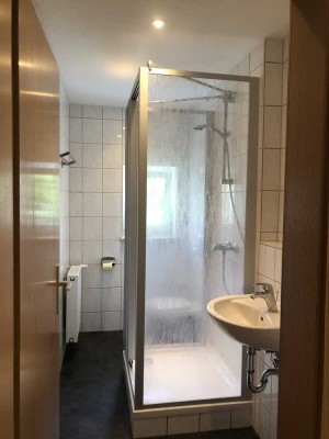 Schöne 2-Zimmer-Wohnung in Bad Lausick neuwertig sonnig und hell