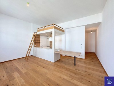 Außergewöhnliche 44m² DG-Wohnung mit Einbauküche Nähe Pilgramgasse - 1050 Wien