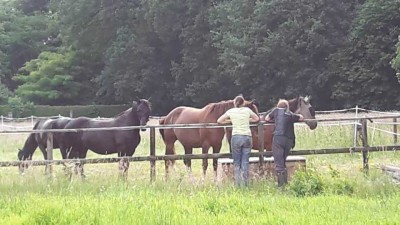 Charmante Reitanlage mit historischem Wohnhaus und Gewerberäumen