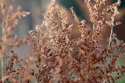 Luxus trifft Nachhaltigkeit - klimaneutral wohnen mit Stil