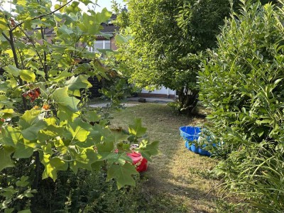 Vollständig renovierte 3-Zimmer-Wohnung mit Terrasse und Garten in Düsseldorf
