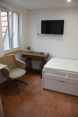 Vollmöblierte 1-Zimmer-Wohnung mit Bett, Schrank, Küche & TV in Tübingen