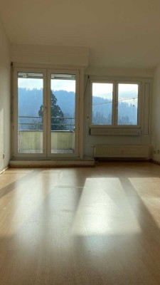 Sonnige 1-Zimmer-DG-Wohnung mit Balkon in Freiburg