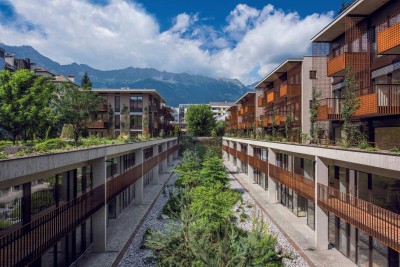 living the green - salamander 1E02