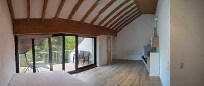 Exklusive 1-Zimmer-DG-Loft-Wohnung in Mannheim