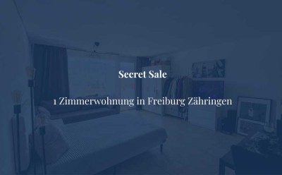 Große 1 Zimmerwohnung mit traumhaftem Ausblick