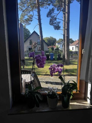 !! idyllisch gelegenes freihstehendes Einfamilienhaus mit großem Garten & großem Wohnbereich !!
