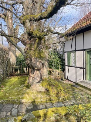 CHARMANTE KLEINE DOPPELHAUSHÄLFTE MIT BLICK AUF DIE KRONBERGER ALTSTADT - IDYLLISCHE FELDRANDLAGE